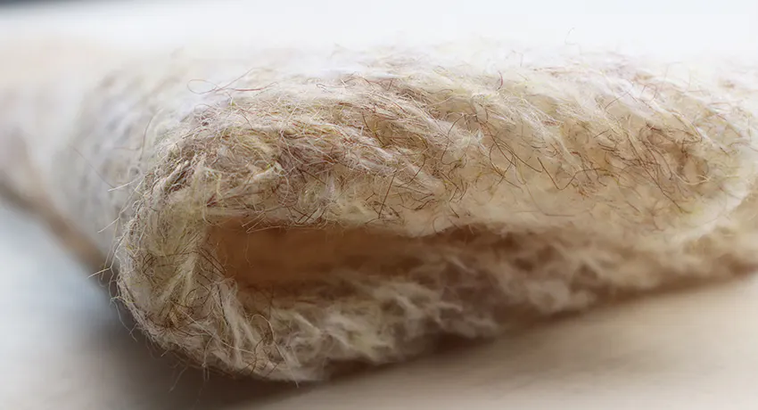 长毛羊毛马海，第 2 张